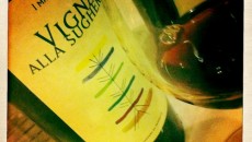 Di una grazia e una lievità profonde con floreale da sangiovese e sottobosco di tabacco che riflettono un rapporto idilliaco tra territorio e vino, ben esplorato in questo seminale post...