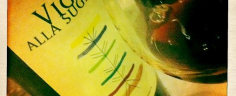 I Mandorli Vigna alla Sughera – Sangiovese Val di Cornia 2008 Di una grazia e una lievità profonde con floreale da sangiovese e sottobosco di tabacco che riflettono un rapporto idilliaco tra territorio e vino, ben esplorato in questo seminale post...