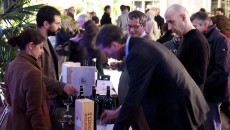 Realtà piccola ma concreta e improntata alla qualità (il vino base è un Bolgheri superiore…) e il 2008 dimostra come questa terra possa dare prodotti di grandezza assoluta come l’ormai...
