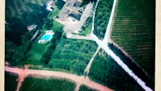 Come usare il Sangiovese nei nuovi mercati : Federico Cerelli da Castello di Gabbiano “Sangiovese brutta bestia” Il sangiovese è una brutta bestia che da risultati meravigliosi ma necessita tempo per definirsi e diventare splendido. Ma nel frattempo occorre convincere e farlo piacere a palati più adusi...