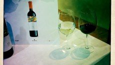 Prosegue la vendita delle bottiglie di vino Rockea Sangiovese 100% per finanziare l’acquedotto di un villaggio del Sarawi. Ancora in vendita solo 140 bottiglie a 40euro l’una per completare l’opera....