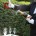Una delle maison più grandi e celebri della Champagne (e non solo per la Formula 1 che ne spreca ogni anno centinaia di litri per i festeggiamenti) , Mumm che...