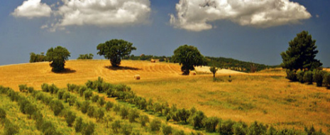 La Maremma è certo la zona di frontiera del vino toscano con realtà nuove che provengono spesso da lontano e che portano in questa terra freschezza di idee e voglia...