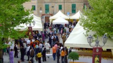 Bolgheri DOC è sempre di più un marchio e una tipologia di vino dal fascino particolare, caso quasi unico di territorio che si reinventa senza allargarsi all’infinito e mantenendo un...
