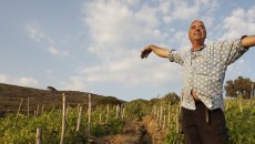 Serata speciale con Francesco Carfagna in persona e i suoi vini del Giglio, un’isola meravigliosa e affascinante. Vini sapidi marini e carnosi che nascono dall’Ansonica locale, unica uva bianca capace...