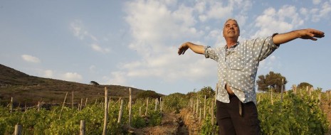 L’Isola del Giglio non è solo un titolo nelle pagine di cronaca, anche se la “bella addormentata sull’isola” è sempre lì a ricordarcelo. Sull’isola ci vivono uomini che, con il...