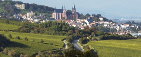 La Germania vanta una storia di viticoltura millenaria con periodi di grandissimo splendore,  un presente come paese produttore di alcuni tra i vini bianchi più pregiati e longevi al mondo...