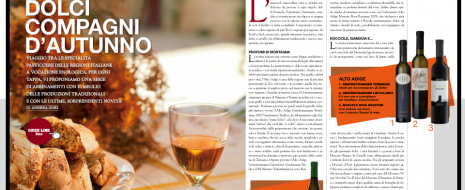 L’Italia è una penisola meravigliosa con innumerevoli microclimi, vini e dolcezze da provare ad ogni angolo e d’Autunno ci si sente anche meno in colpa se si esagera un poco...