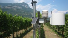 Passeggiata in Trentino alla ricerca dei suoi autoctoni, cena degustazione da Burde venerdì 12 ottobre con Capocollo di Cinta alle mele Se già avete gustato con passione la nostra serata speciale con il TrentoDOC a settembre, dovreste cominciare a pensare di venire con noi in questa passeggiata virtuale in Trentino con...