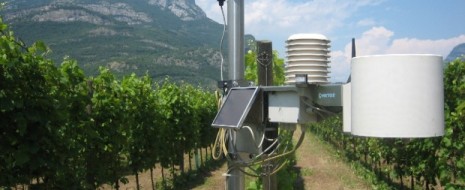 Se già avete gustato con passione la nostra serata speciale con il TrentoDOC a settembre, dovreste cominciare a pensare di venire con noi in questa passeggiata virtuale in Trentino con...