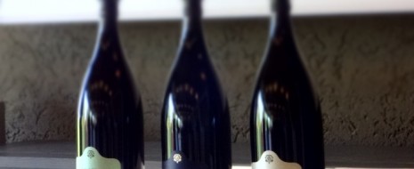 Premiere particolare oggi in Franciacorta (e poi in Galleria Vittorio Emanuele al posto del defunto Mc Donalds) ovvero l’assaggio della Vintage Collection di Ca’ del Bosco, una nuova linea di...