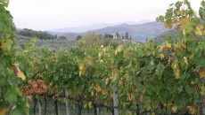 PoggioPiano e i nuovi vini bio di Fiesole il 27 Giugno al God Save the Wine all’Anfiteatro Nei dintorni immediati di Firenze, a Fiesole, troviamo la Fattoria di Poggiopiano che non solo produce vino ma è un casale del 1600 adibito ad uno splendido Agriturismo. Tutti le...