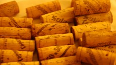 L’originale vino chiantigiano frutto dell’unione di sangiovese e malvasia nera sfodera con quest’annata una prestazione indimenticabile e sontuoso che misurata oggi a 12 anni dalla vendemmia impressiona per struttura, freschezza,...