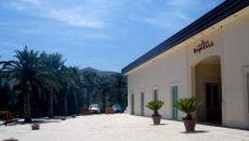 La Sicilia di Rapitalà a God Save the Vinitaly martedì 9 aprile Due Torri Hotel Verona La storia di Rapitalà (dall’arabo “Rabidh-Allah” o “fiume di Allah” dal torrente che scorre tra i vigneti) unisce due nazioni legate dal vino e idealmente i protagonisti principali di questo...