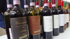 Carmignano Ambra, il gusto internazionale e Caterina de’ Medici Con Giuseppe Rigoli Sfatiamo un falso mito come il gusto americano nel vino grazie alle riserve di Ambra, Carmignano ovvero la Montalbiolo (più galestro), e la Elziana (più argilla). Scopriamo infatti...