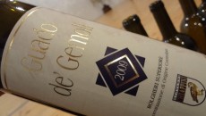 Guado de’ Gemoli 2009 Bolgheri Doc Superiore Giovanni Chiappini Il vino preferito di Sarah Jessica Parker è un campione di razza per estratto e intensità e già al naso spazza via ogni dubbio sulla provenienza. Cabernet sauvignon per l’80%...
