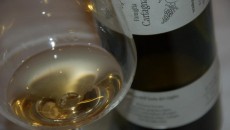 Ansonaco del Giglio 2011 Altura Francesco Carfagna Una delle migliori annate in uno stato di forma impressionante per piacevolezza di beva e ricchezza di sapore. FRancesco ci racconta di quanto è stato lungo il processo di fermentazione...