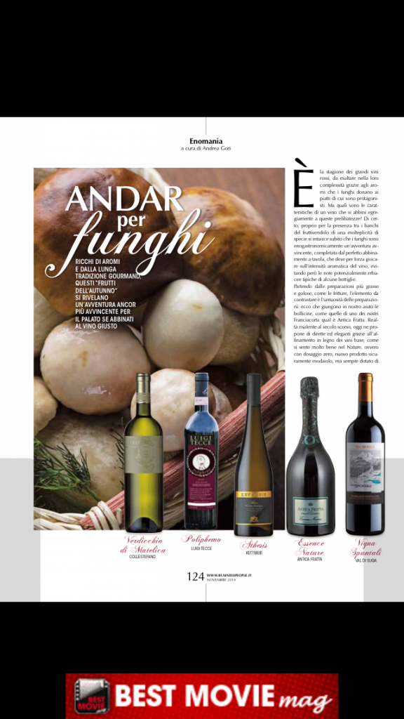 business people andar per funghi vino novembre 2014 pag124