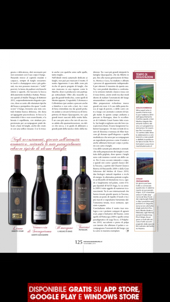 business people andar per funghi vino novembre 2014 pag125