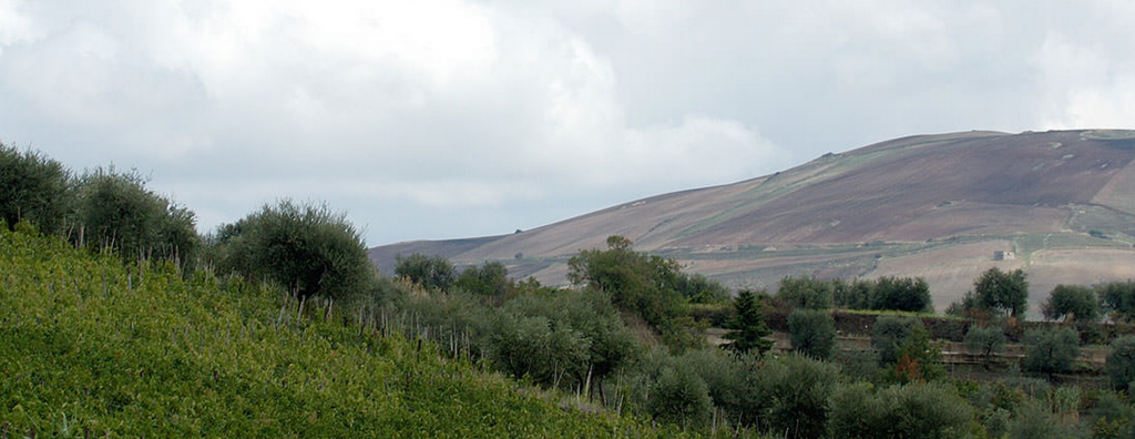 aglianico vulture basilisco paesaggio