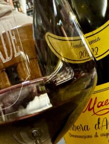 Stella – Barbera d’Asti Superiore Vecchie Vigne “Il vino del Maestro” 2022