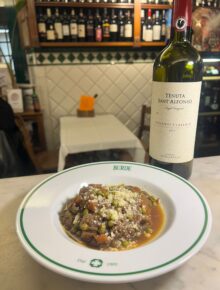 Sant’Alfonso Chianti Classico 2023 Famiglia Zingarelli