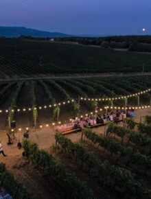 Sabati di settembre in vigna in Palagina